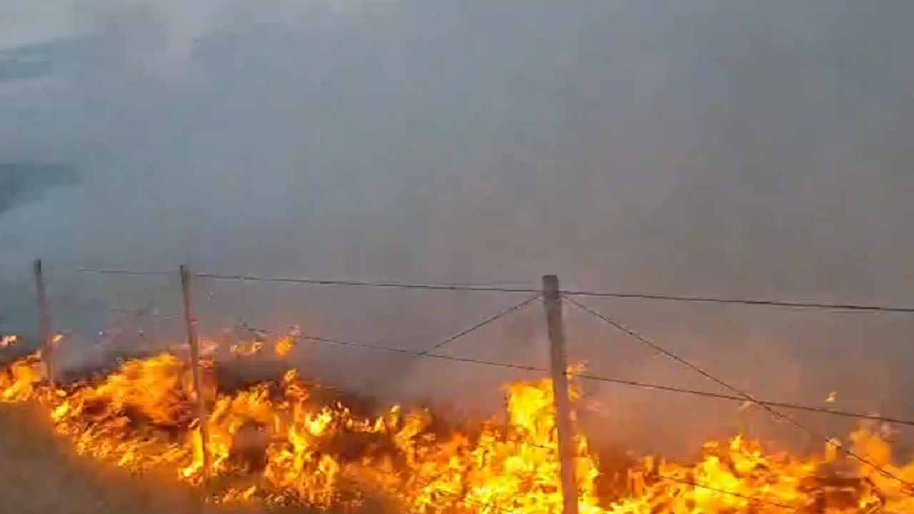 Son dakika | Gordion’da 250 dönüm alanı yakan kundakçı tutuklandı